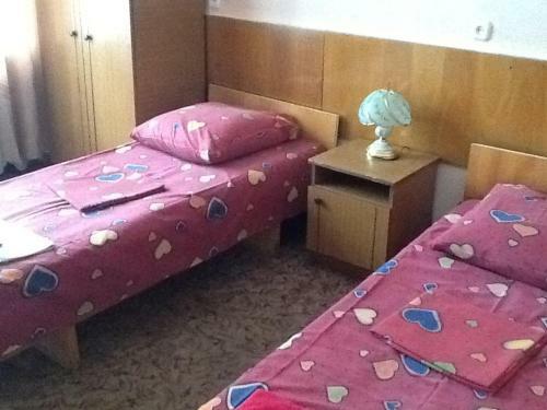 Hotel Pansionat Rodina