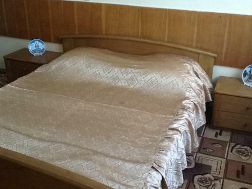 Hotel Pansionat Rodina