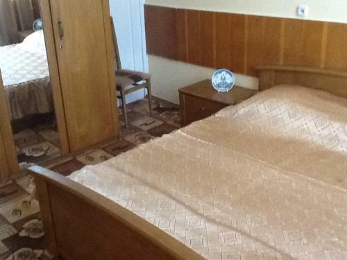 Hotel Pansionat Rodina