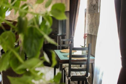 Hostal Guest House White Horse