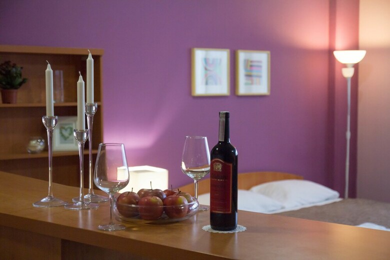 Master Hotel Kotelniky