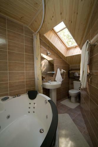 Hotel Zolotoy Strelets