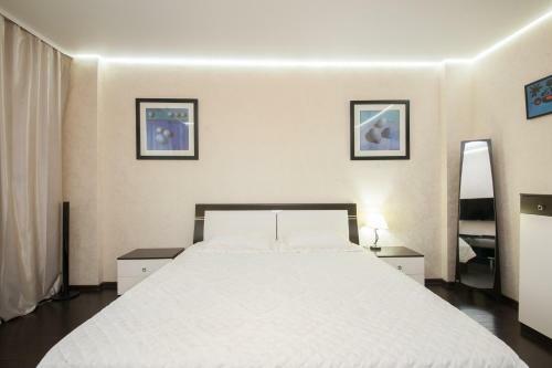 Apartment Alekseeva 45