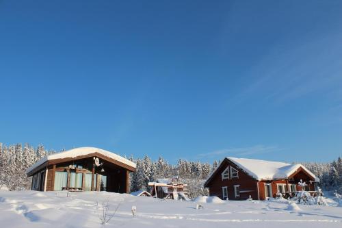 Holiday Homes Filina Gora
