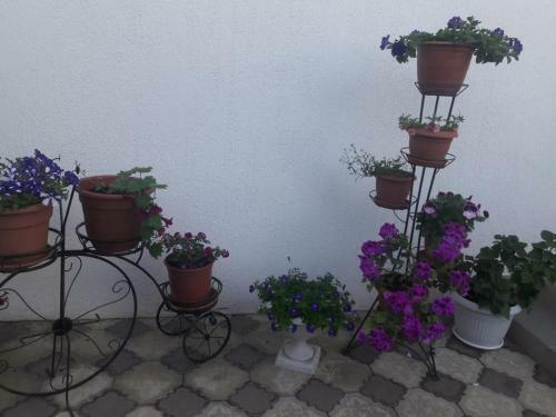 Hostal Beliy Zamok