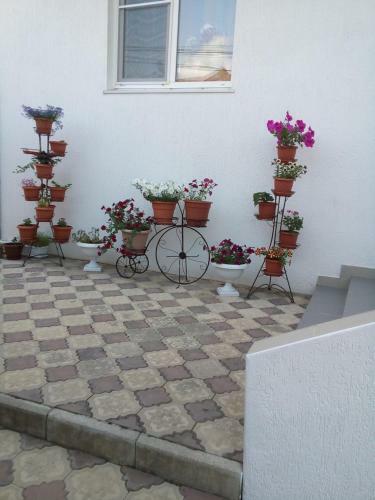 Hostal Beliy Zamok