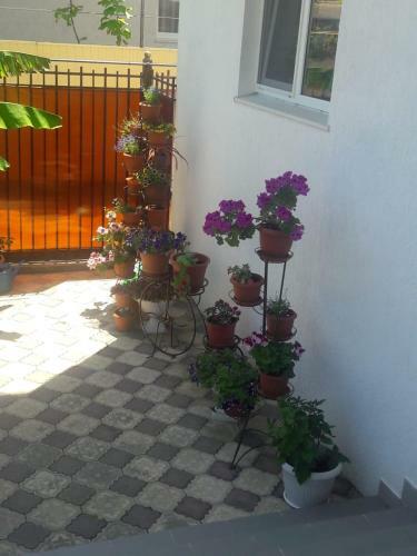 Hostal Beliy Zamok
