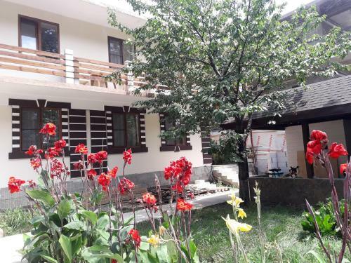 Hostal Guesthouse Baston