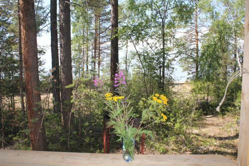 Agroturismo Lazurnyy Bereg