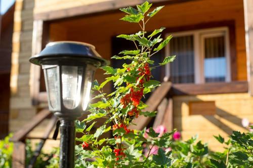 Hostal Hotel Dauria
