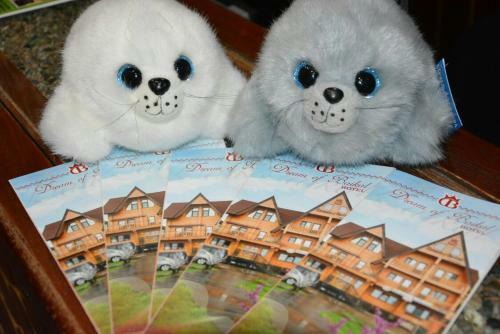 Dream Of Baikal Hotel