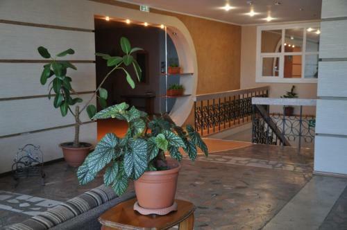 Posada Hotel Priboy