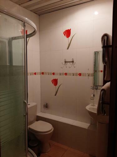 Baykal Ersi Hotel