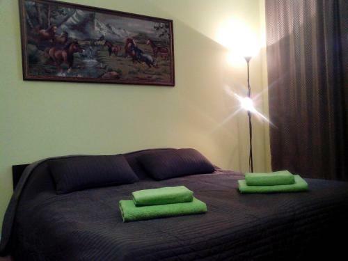 Apartamento Kakdoma-svo