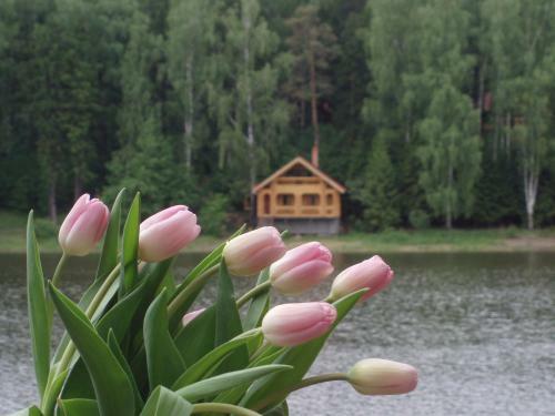 Hotel Lada Holiday Cottages