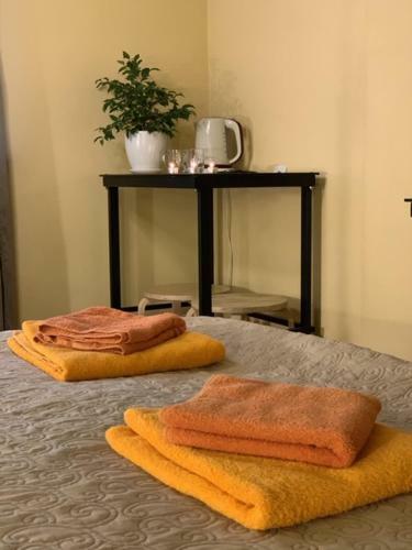 Hotel Za Okolytsey