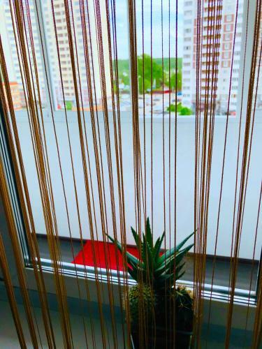 Svo Apartment?s