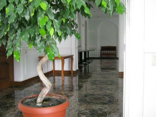 Hotel Rgk Trek