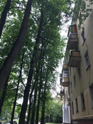 Apartamento Izmailovo-park Vigvam24