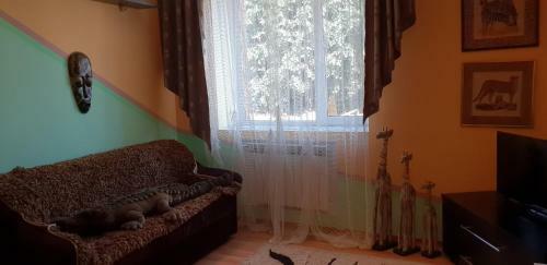 Hotel Gostiny Dvor