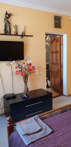 Hotel Gostiny Dvor