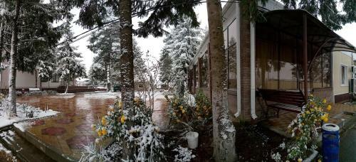 Holiday Park Izumrud