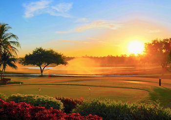 Hotel The Ritz-carlton Golf Resort, Naples