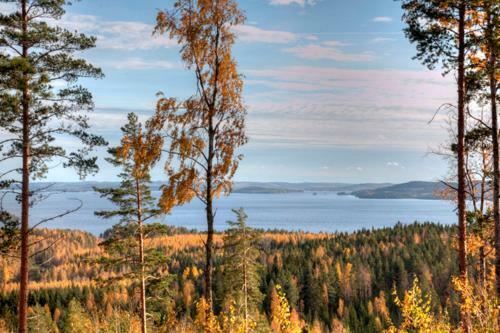 Riihivuori Cottages