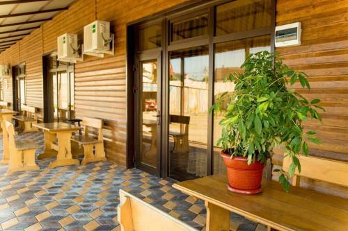 Hostal Kovcheg Guest House