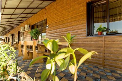 Hostal Kovcheg Guest House