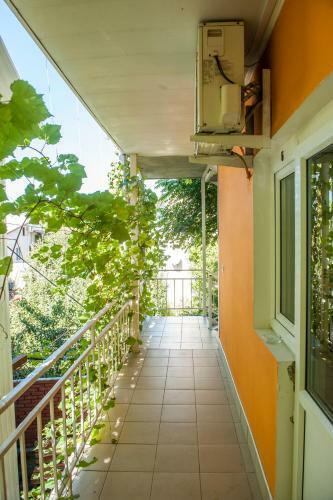 Hostal Guest House Margarita