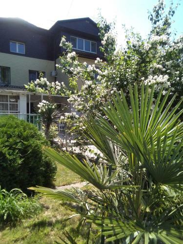 Hostal Forest Club