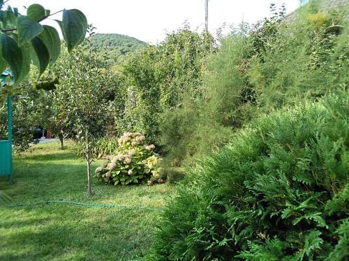 Hostal Guest House Na Lesnoy