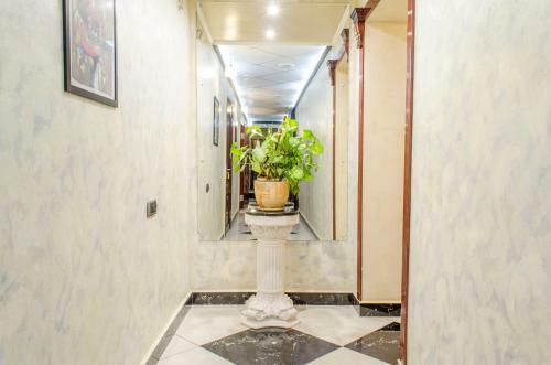Hotel Elena