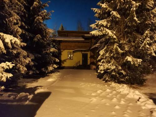 Cottage V Zelenoy Roshche