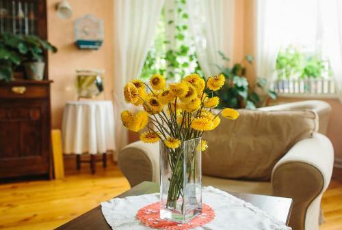 Hostal Spa-usadba Trigorskaya1