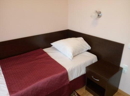 Hotel Pansionat Iskra