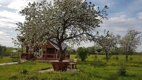 Hostal Cottage In Dudkino
