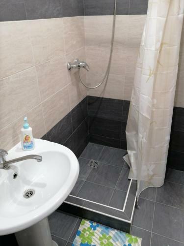 Apartment In The Park Tsvetnik