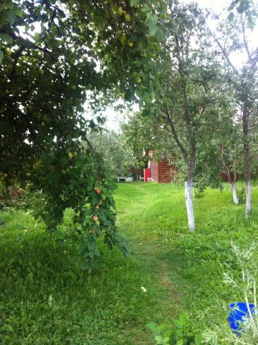 Cottage Yolka