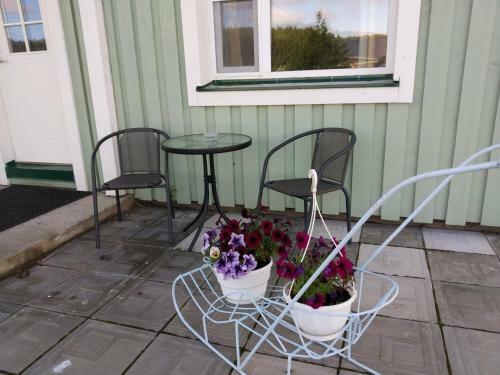 Hostal Guest House Kodikas