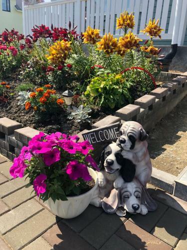 Hostal ???????? ??? ????