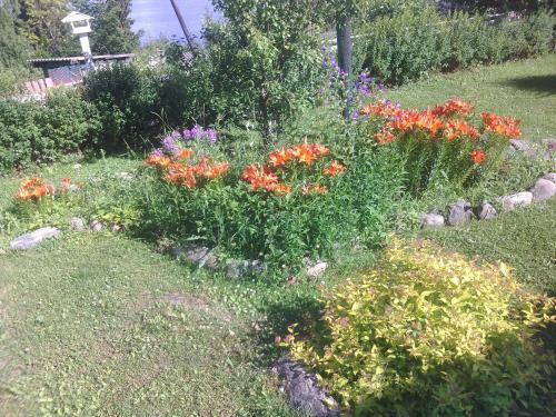 Hostal Guest House U Ladogi