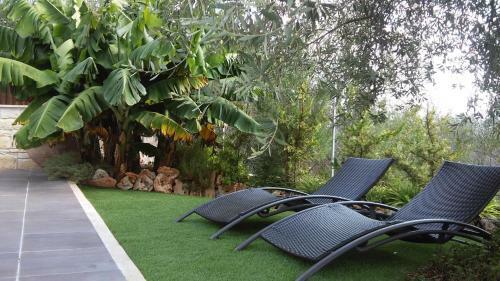 Valencia Grove Villa