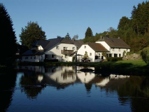 Hotel Le Vieux Moulin