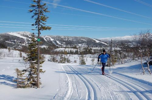 Kvit�vatn Fjellhytter