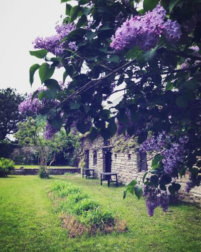 Hostal Gamla G�stgivareg�rden