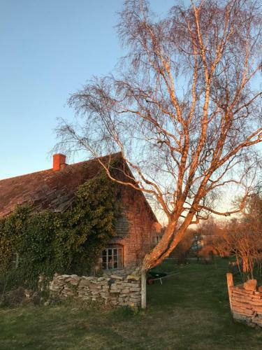 Hostal Gamla G�stgivareg�rden