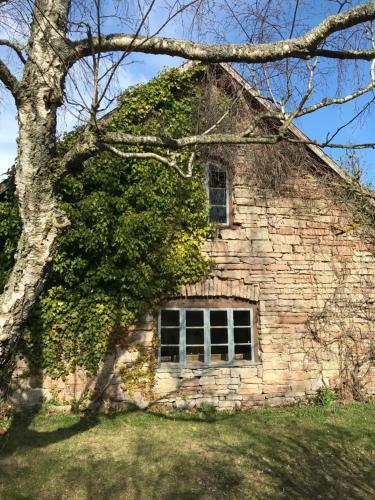 Hostal Gamla G�stgivareg�rden
