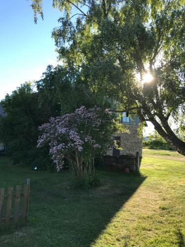 Hostal Gamla G�stgivareg�rden